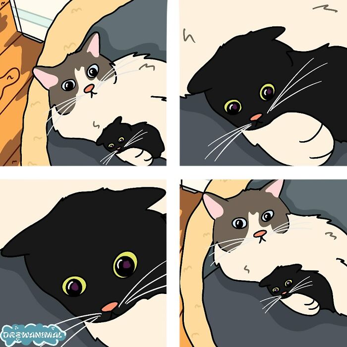 This Artist Turns Viral Cat Moments Into Funny Art (65 Pics)