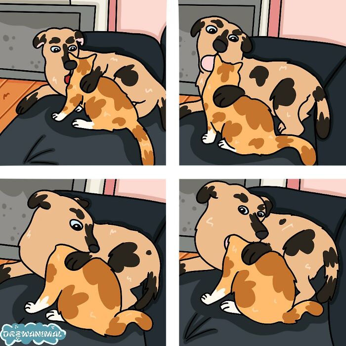 This Artist Turns Viral Cat Moments Into Funny Art (65 Pics)