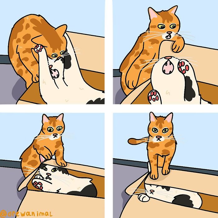 This Artist Turns Viral Cat Moments Into Funny Art (65 Pics)