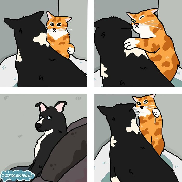This Artist Turns Viral Cat Moments Into Funny Art (65 Pics)