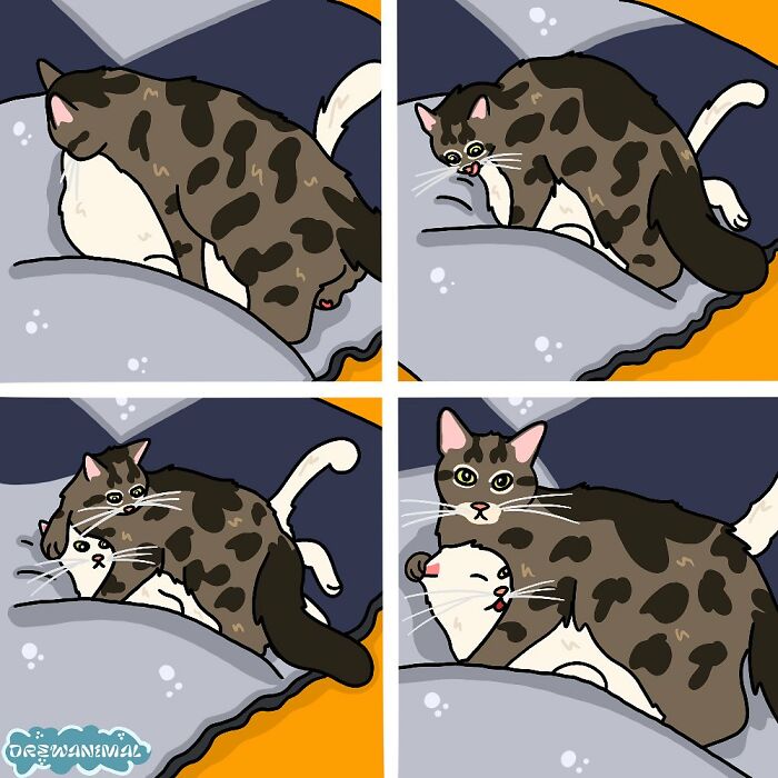 This Artist Turns Viral Cat Moments Into Funny Art (65 Pics)