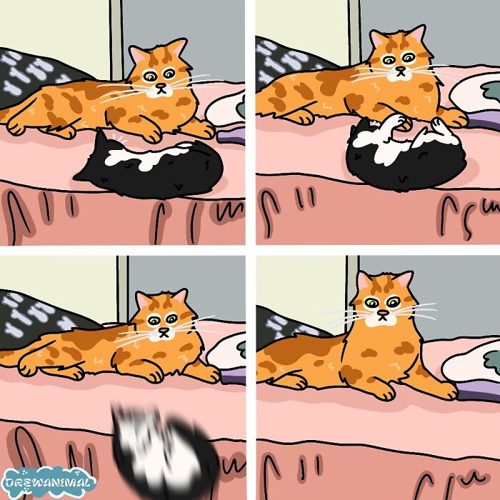 This Artist Turns Viral Cat Moments Into Funny Art (65 Pics)