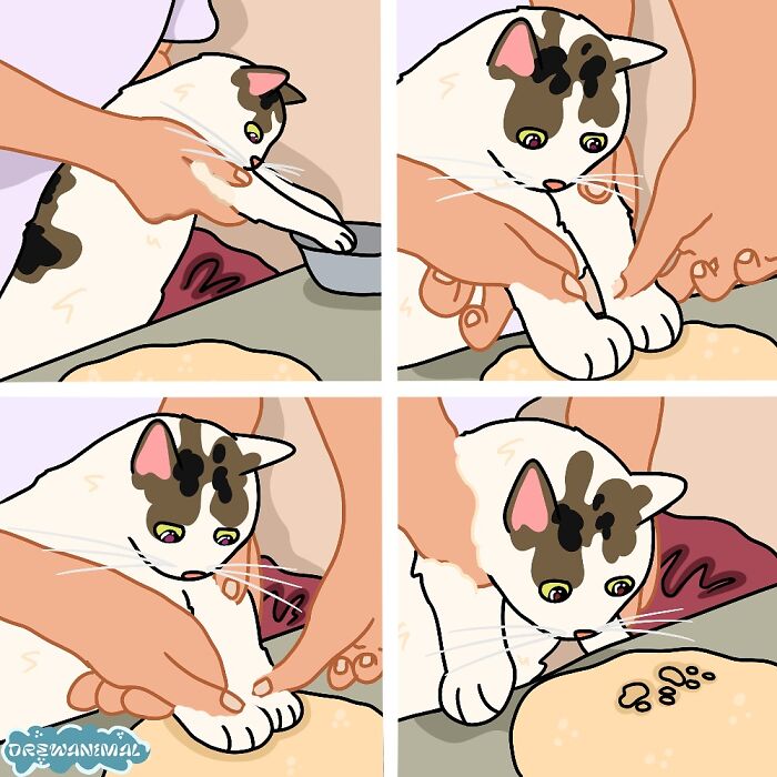 This Artist Turns Viral Cat Moments Into Funny Art (65 Pics)