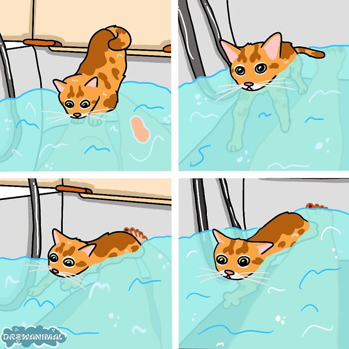 This Artist Turns Viral Cat Moments Into Funny Art (65 Pics)