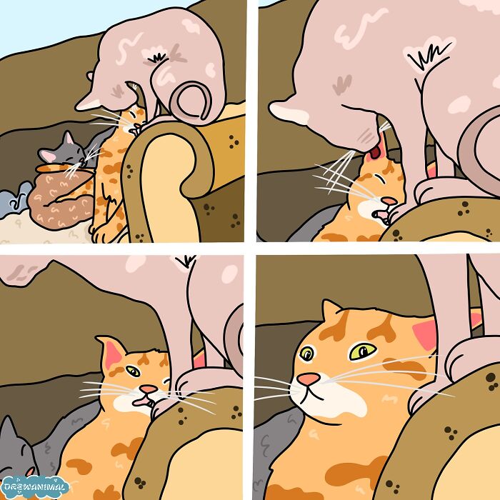 This Artist Turns Viral Cat Moments Into Funny Art (65 Pics)