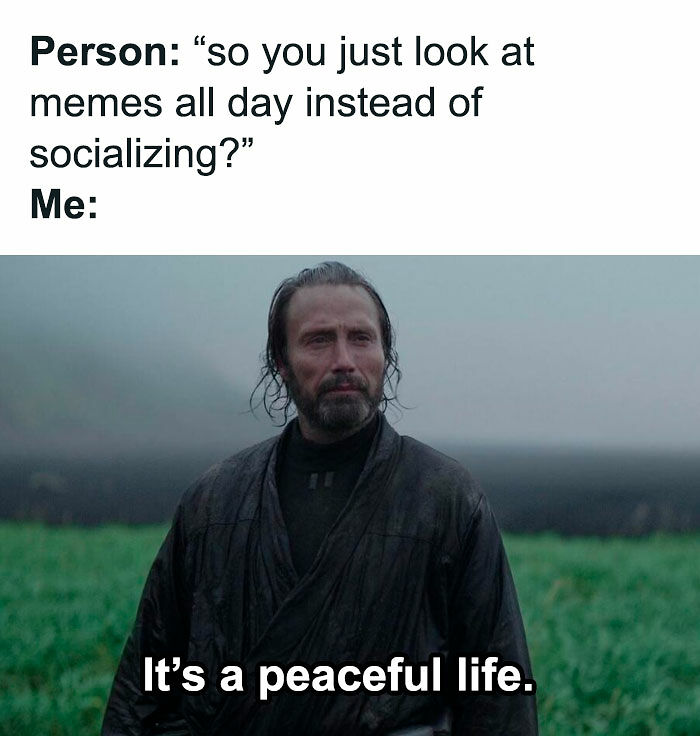 52 Introvert Memes To Scroll Through As You Decompress After A Day Of Socializing (New Pics)