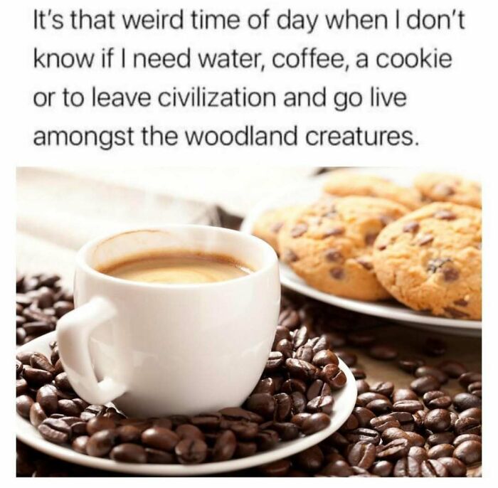 52 Introvert Memes To Scroll Through As You Decompress After A Day Of Socializing (New Pics)