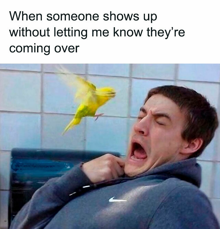 52 Introvert Memes To Scroll Through As You Decompress After A Day Of Socializing (New Pics)