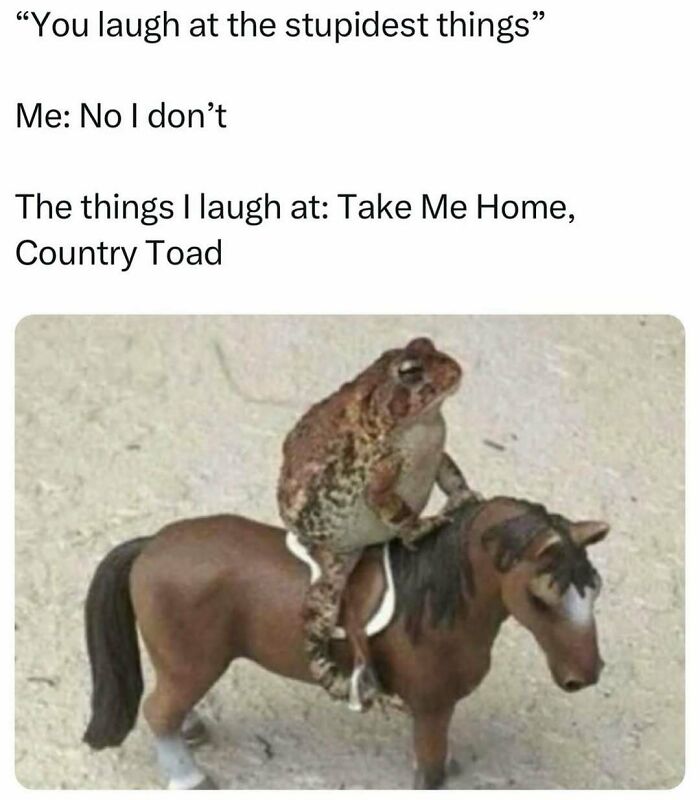 52 Introvert Memes To Scroll Through As You Decompress After A Day Of Socializing (New Pics)