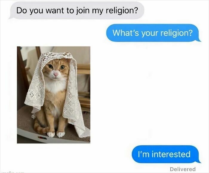 52 Introvert Memes To Scroll Through As You Decompress After A Day Of Socializing (New Pics)