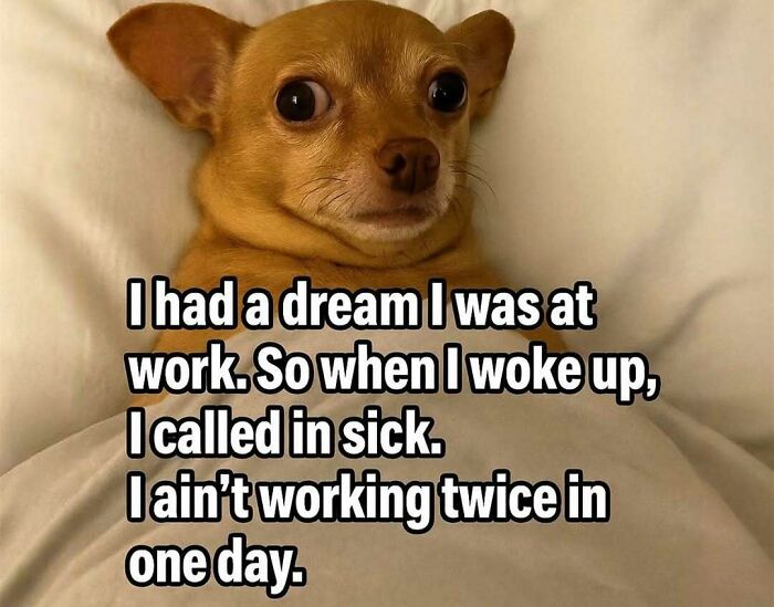 52 Introvert Memes To Scroll Through As You Decompress After A Day Of Socializing (New Pics)