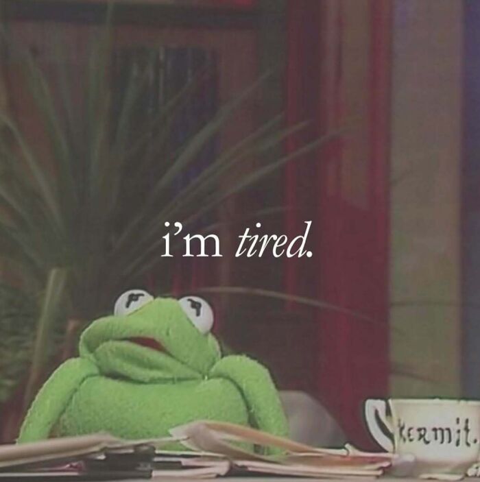 52 Introvert Memes To Scroll Through As You Decompress After A Day Of Socializing (New Pics)