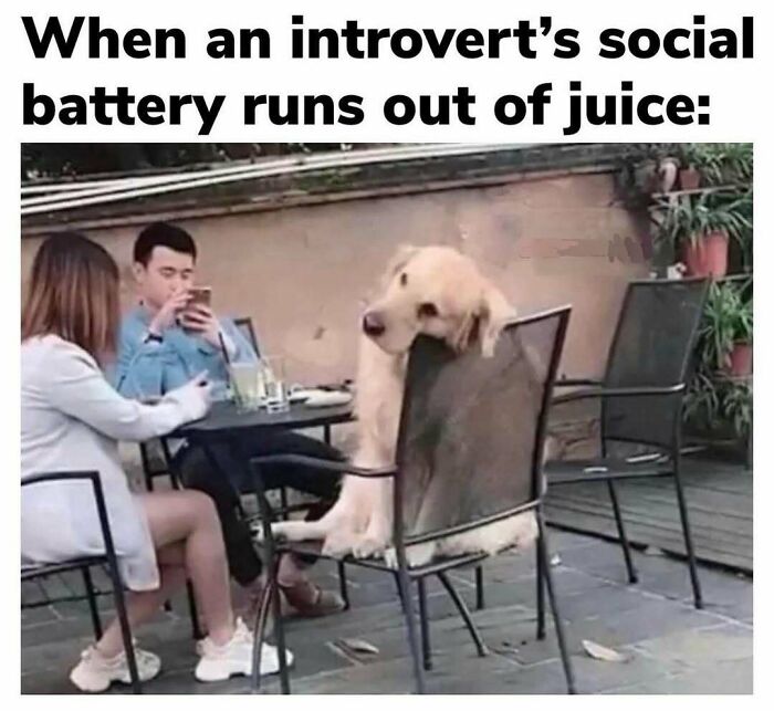 52 Introvert Memes To Scroll Through As You Decompress After A Day Of Socializing (New Pics)