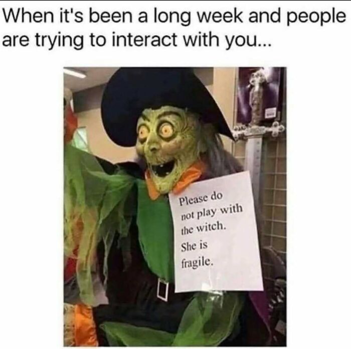 52 Introvert Memes To Scroll Through As You Decompress After A Day Of Socializing (New Pics)