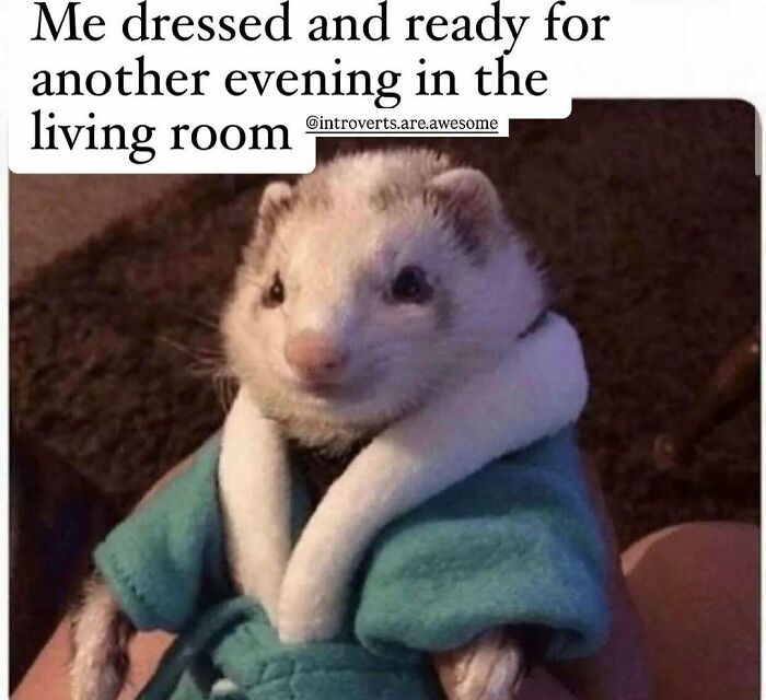 52 Introvert Memes To Scroll Through As You Decompress After A Day Of Socializing (New Pics)