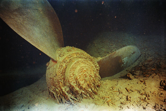 56 Rare Historical Photos Of The Titanic That May Change Your Perspective