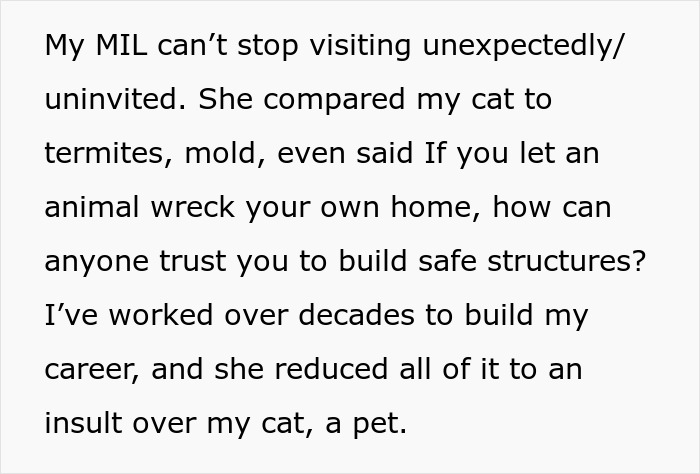 MIL Issues DIL An Ultimatum At Her Own Home, Regrets It: “You Don’t Get To Decide Who Lives Here”