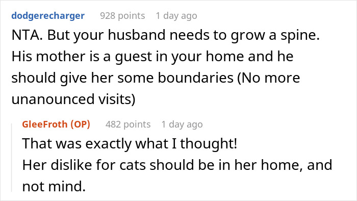 MIL Issues DIL An Ultimatum At Her Own Home, Regrets It: “You Don’t Get To Decide Who Lives Here”