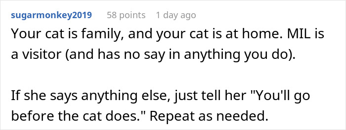 MIL Issues DIL An Ultimatum At Her Own Home, Regrets It: “You Don’t Get To Decide Who Lives Here”