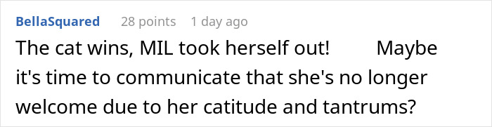 MIL Issues DIL An Ultimatum At Her Own Home, Regrets It: “You Don’t Get To Decide Who Lives Here”
