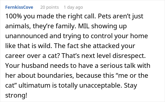 MIL Issues DIL An Ultimatum At Her Own Home, Regrets It: “You Don’t Get To Decide Who Lives Here”