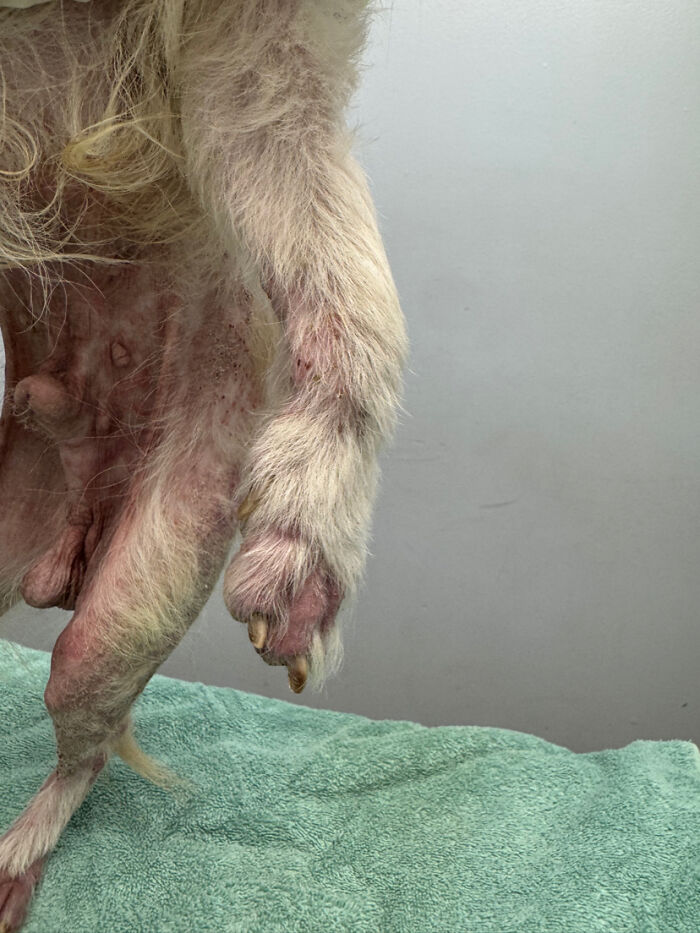 King’s Story: A Lifetime Of Neglect, Now A Fight For Healing