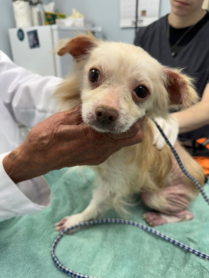 King’s Story: A Lifetime Of Neglect, Now A Fight For Healing