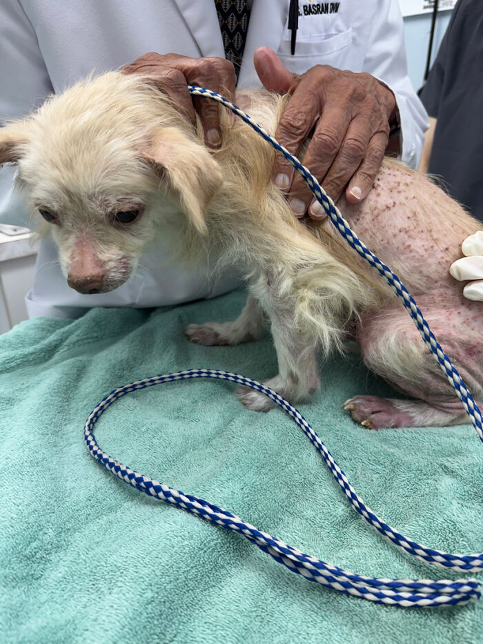 King’s Story: A Lifetime Of Neglect, Now A Fight For Healing