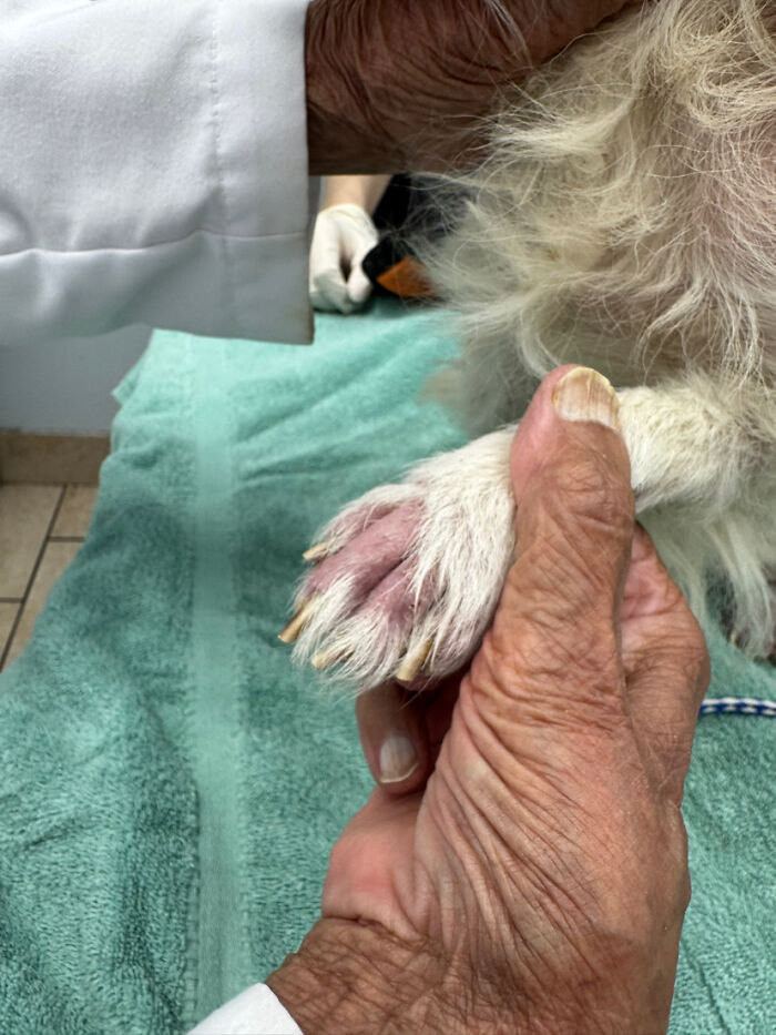 King’s Story: A Lifetime Of Neglect, Now A Fight For Healing