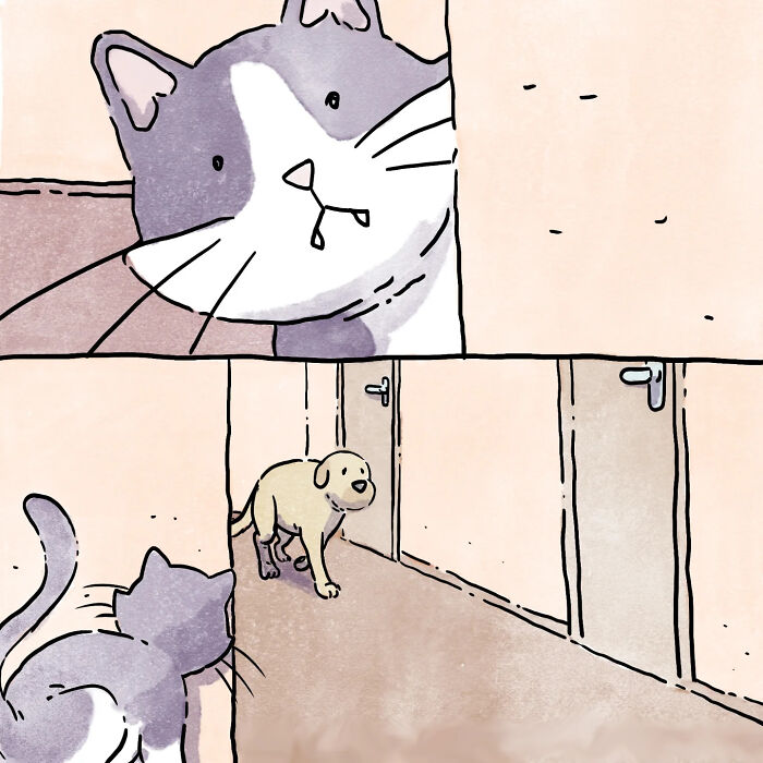 Artist Shares Adorable And Funny Comics Of Life With Pets (6 New Stories)