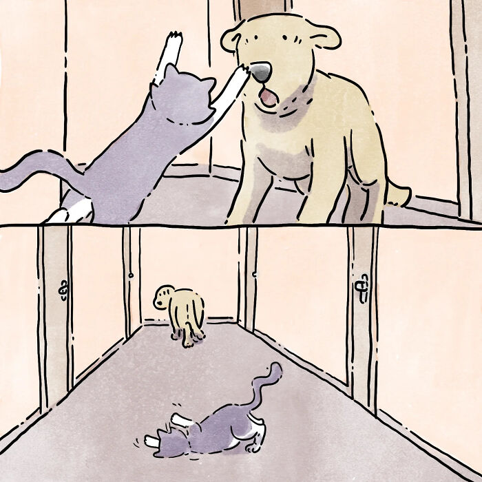 Artist Shares Adorable And Funny Comics Of Life With Pets (6 New Stories)