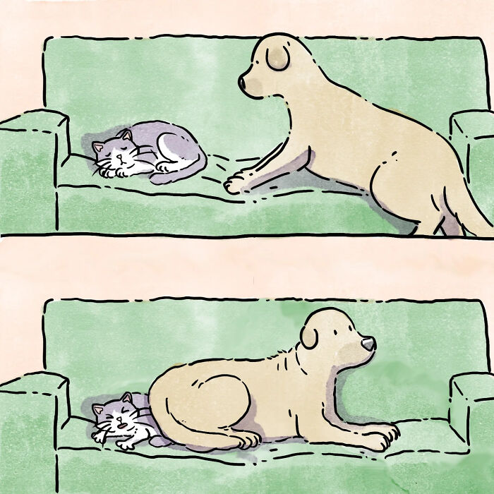 Artist Shares Adorable And Funny Comics Of Life With Pets (6 New Stories)