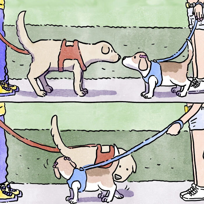 Artist Shares Adorable And Funny Comics Of Life With Pets (6 New Stories)