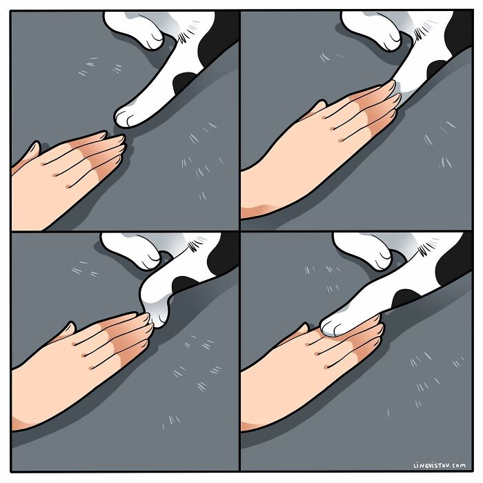 If You&#8217;re A Cat Owner, These Comics By Lingvistov Might Be Very Relatable To You (50 Best Pics)