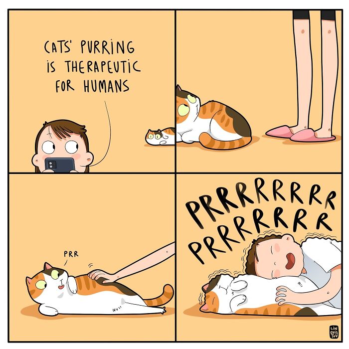 If You&#8217;re A Cat Owner, These Comics By Lingvistov Might Be Very Relatable To You (50 Best Pics)