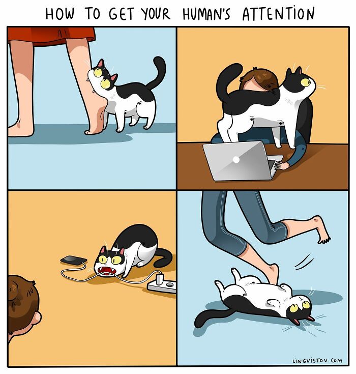 If You&#8217;re A Cat Owner, These Comics By Lingvistov Might Be Very Relatable To You (50 Best Pics)