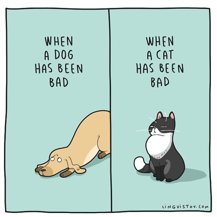 If You&#8217;re A Cat Owner, These Comics By Lingvistov Might Be Very Relatable To You (50 Best Pics)
