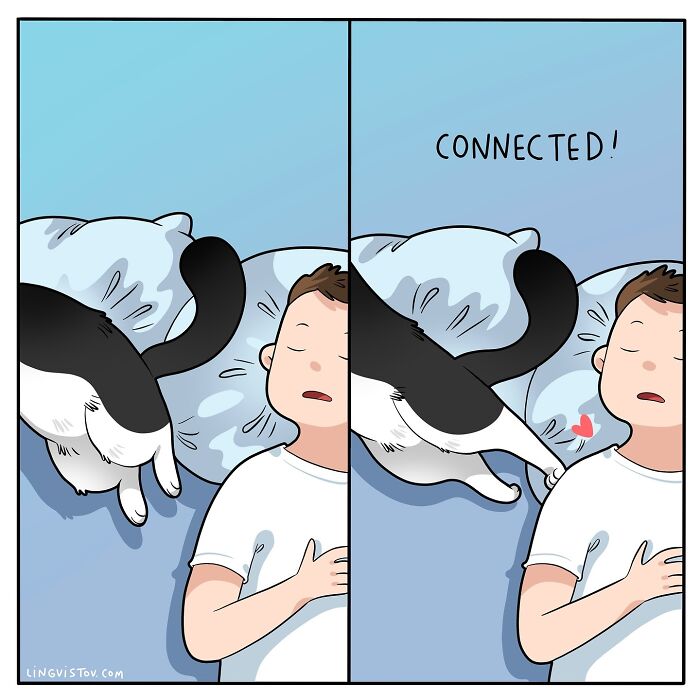 If You&#8217;re A Cat Owner, These Comics By Lingvistov Might Be Very Relatable To You (50 Best Pics)