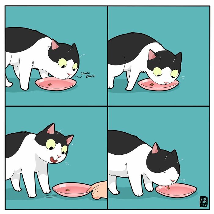 If You&#8217;re A Cat Owner, These Comics By Lingvistov Might Be Very Relatable To You (50 Best Pics)