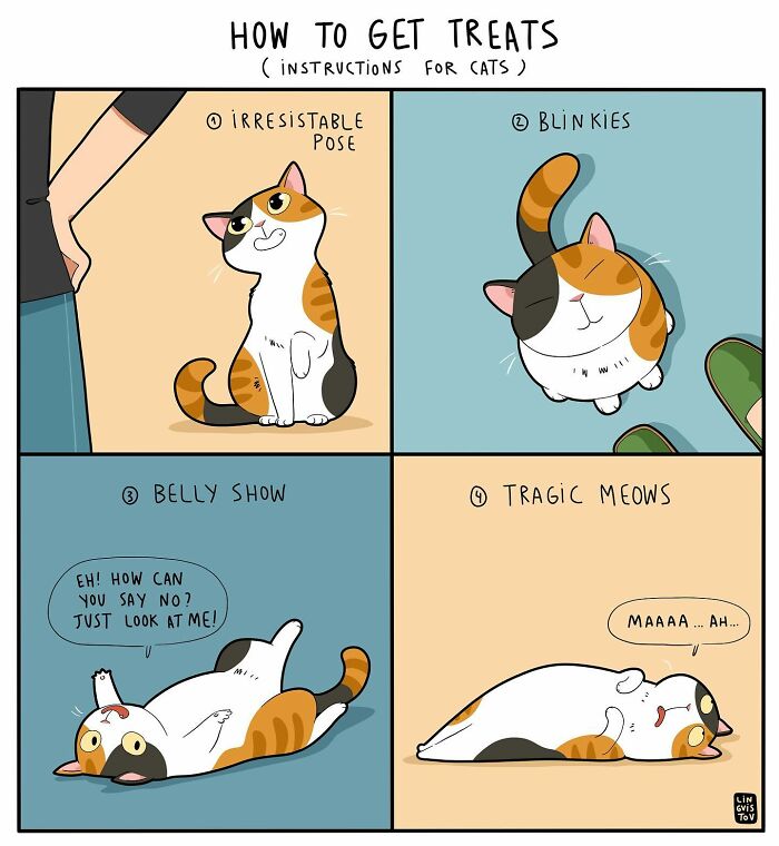 If You&#8217;re A Cat Owner, These Comics By Lingvistov Might Be Very Relatable To You (50 Best Pics)