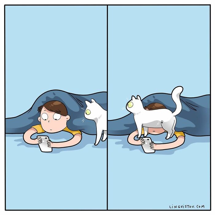 If You&#8217;re A Cat Owner, These Comics By Lingvistov Might Be Very Relatable To You (50 Best Pics)