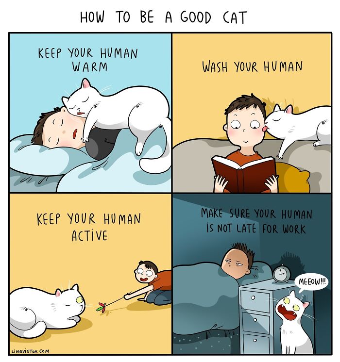 If You&#8217;re A Cat Owner, These Comics By Lingvistov Might Be Very Relatable To You (50 Best Pics)