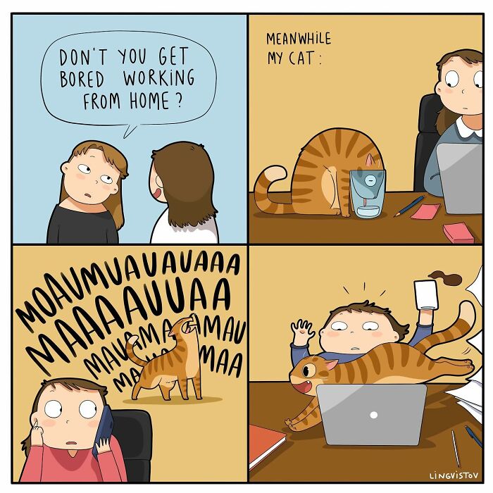 If You&#8217;re A Cat Owner, These Comics By Lingvistov Might Be Very Relatable To You (50 Best Pics)