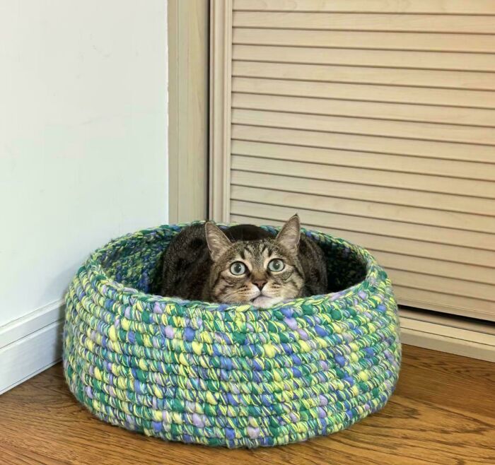 96 People Who Mastered The Art Of Crocheting Shared Their Latest Projects (New Pics)