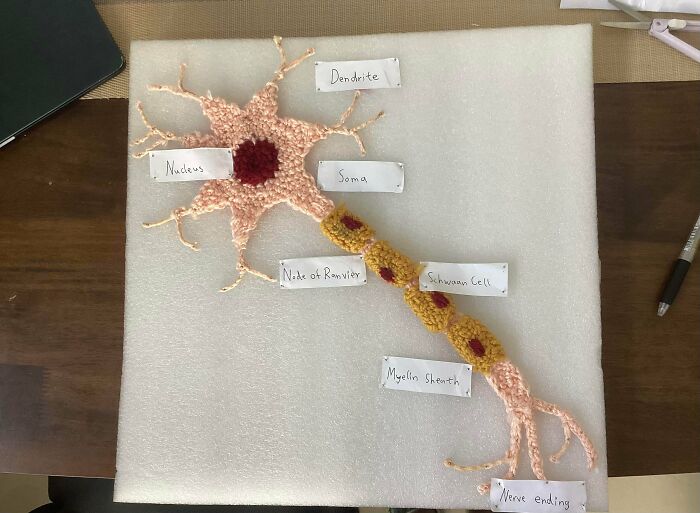 96 People Who Mastered The Art Of Crocheting Shared Their Latest Projects (New Pics)