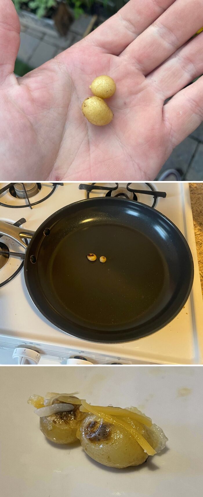 “What Is This, A Tomato For Ants?”: 114 Times Mother Nature Decided To Play A Joke On Gardeners (New Pics)