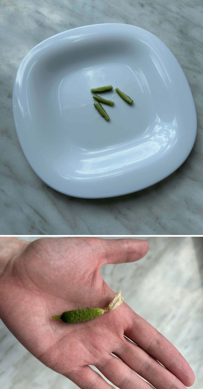 “What Is This, A Tomato For Ants?”: 114 Times Mother Nature Decided To Play A Joke On Gardeners (New Pics)