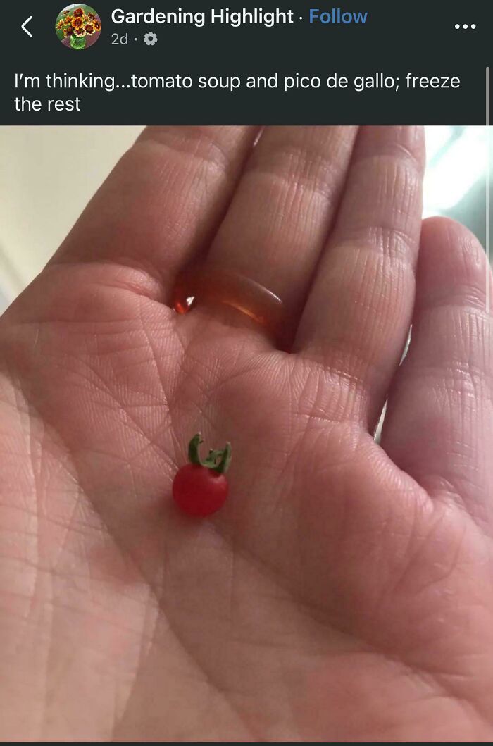 “What Is This, A Tomato For Ants?”: 114 Times Mother Nature Decided To Play A Joke On Gardeners (New Pics)