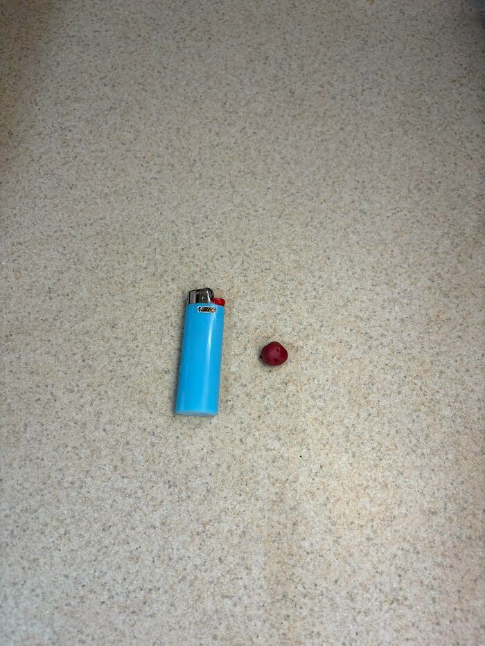 “What Is This, A Tomato For Ants?”: 114 Times Mother Nature Decided To Play A Joke On Gardeners (New Pics)