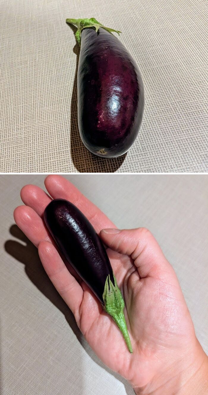 “What Is This, A Tomato For Ants?”: 114 Times Mother Nature Decided To Play A Joke On Gardeners (New Pics)
